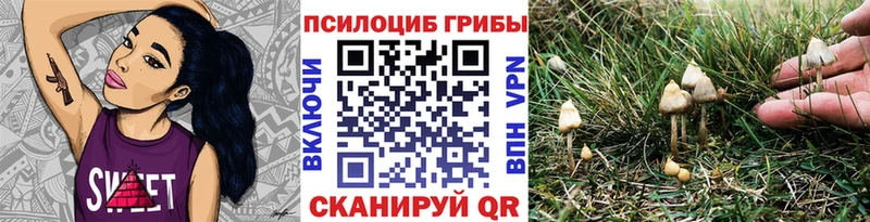 цены наркотик  Тулун  Псилоцибиновые грибы мухоморы 