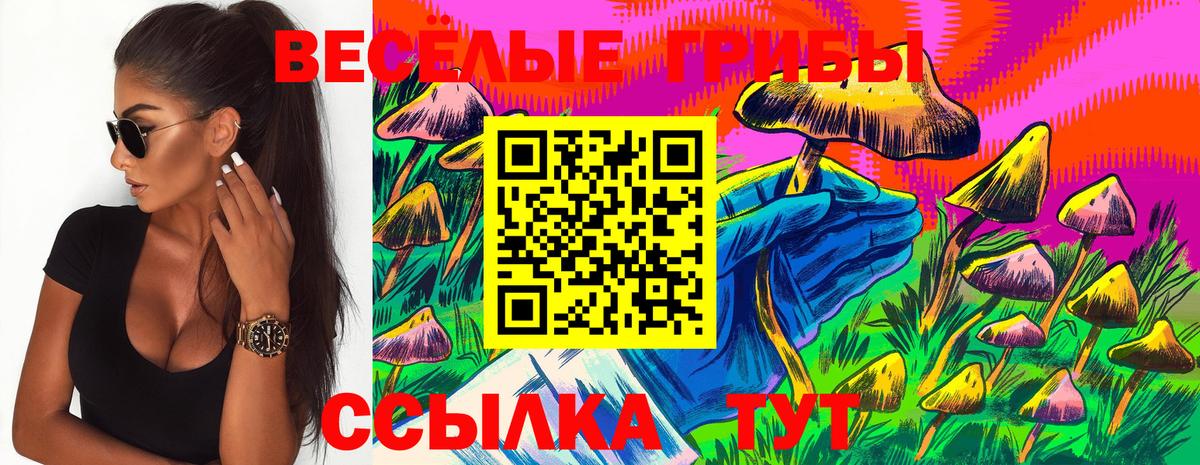 Псилоцибиновые грибы прущие грибы Тулун